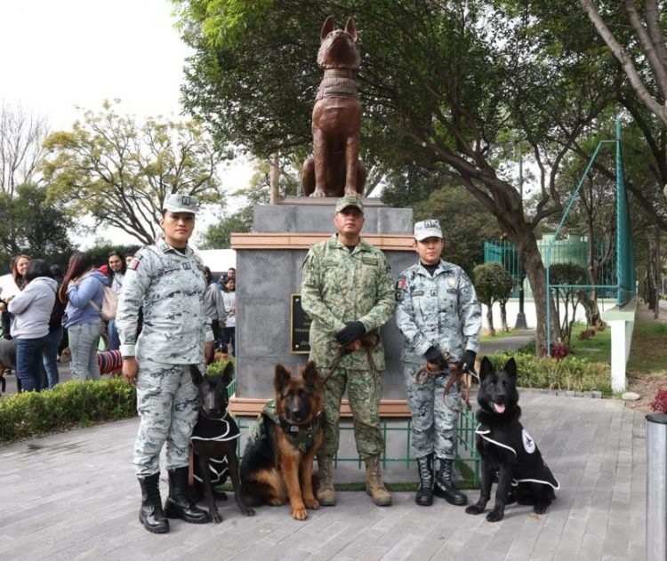 Ejército mexicano celebra cumpleaños de Arkadas, perro rescatista donado por Turquía